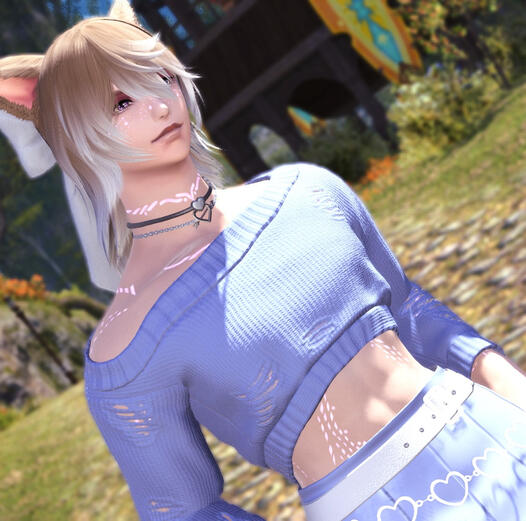 Body Type Ports & Refits (Same gender base) ($20+)